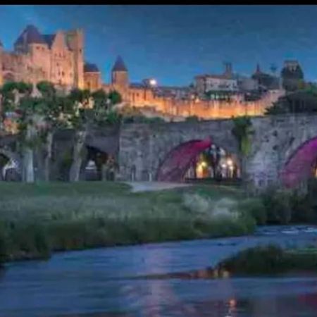 Appartement T2 Avec Vue Chateau Carcassone Exterior photo