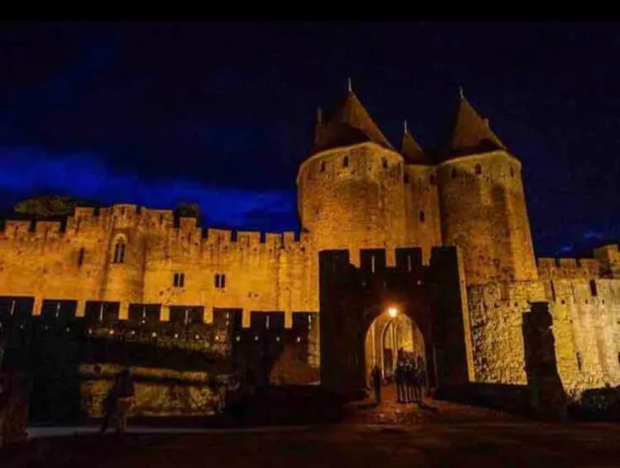 Appartement T2 Avec Vue Chateau Carcassone Exterior photo