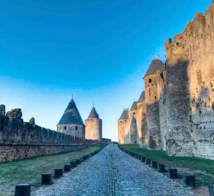 Appartement T2 Avec Vue Chateau Carcassone Exterior photo